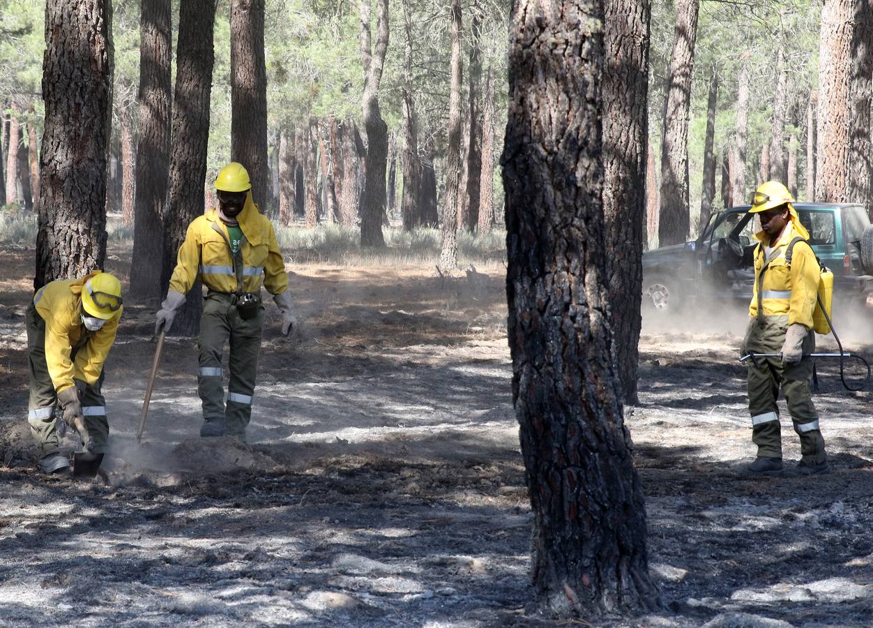 Un rayo causa un incendio en el pinar de la localidad segoviana de Navalilla