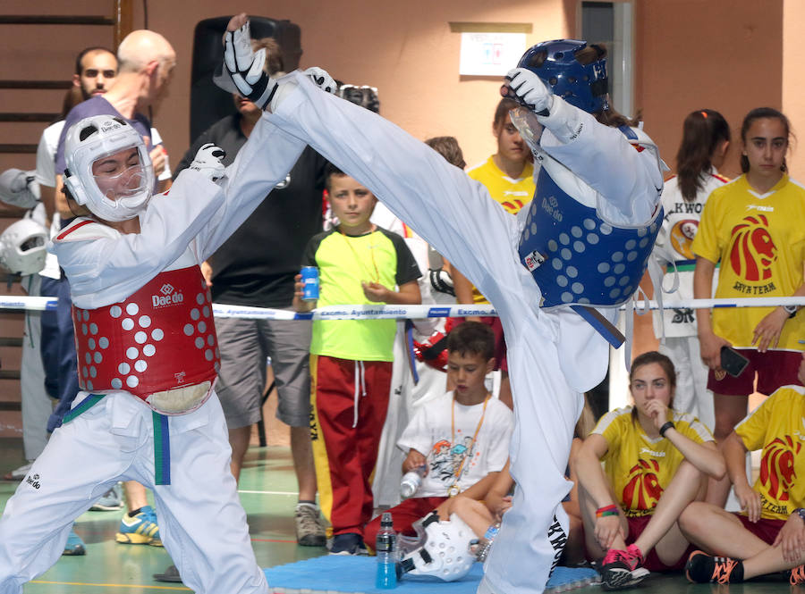 Campeonato de taekwondo en Segovia