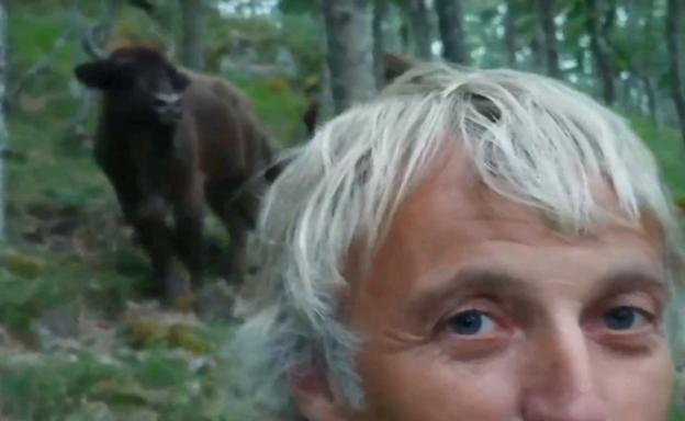 Jesús Calleja se emociona con los bisontes de San Cebrián de Mudá