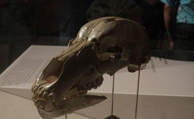 La Fundación Atapuerca y la Obra Social 'la Caixa' unen esfuerzos para seguir formando científicos divulgadores