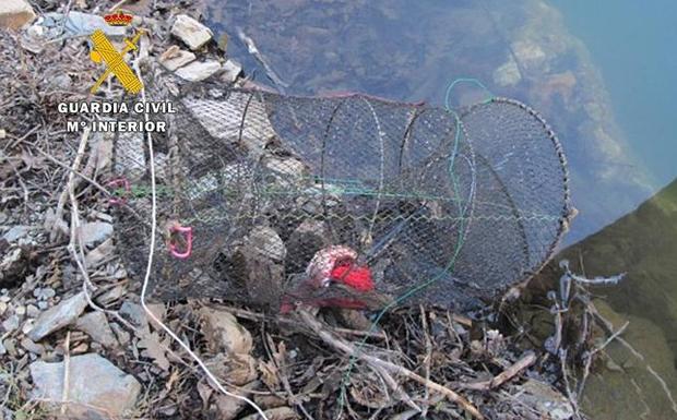 Denunciados cuatro personas por pescar sin licencia