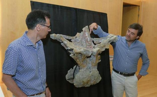 Documentan en la Sierra de La Demanda una nueva especie de dinosaurio gigante