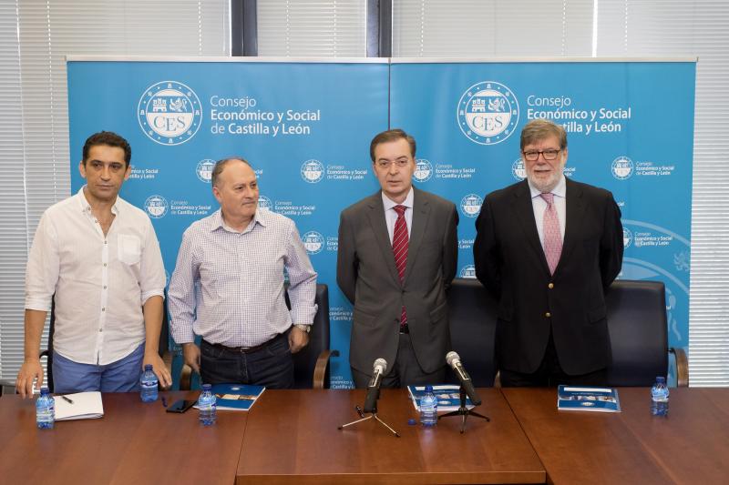 Castilla y León valora que la Comisión Europea estudie dar una segunda oportunidad al carbón