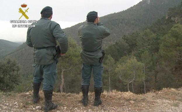 Acusado de maltrato animal tras morir su perro, atado y sin comida