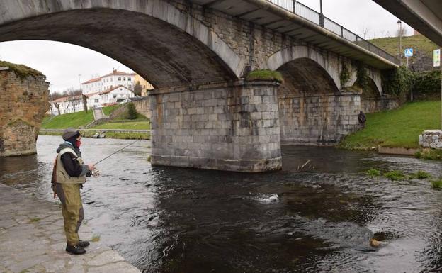 Fomento y Medio Ambiente anticipa la veda de pesca