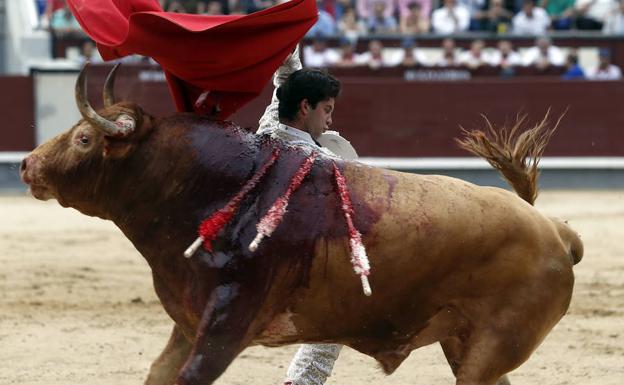 Los triunfadores en Las Ventas Juan del Álamo y Sergio Galán estarán en Cuéllar