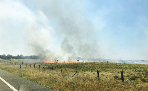 Controlado un nuevo incendio forestal, esta vez en Espirdo