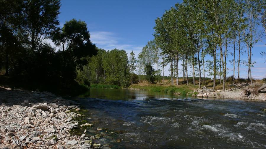 Un menor herido tras caer de un desnivel al Arlanzón en Burgos