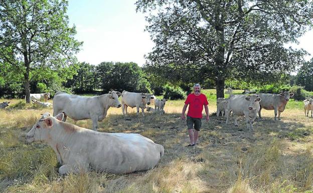 «La suerte influye poco, hay que tener una amplia base de conocimientos»