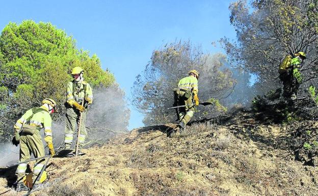 El incendio de Torremormojón arrasó 112 hectáreas
