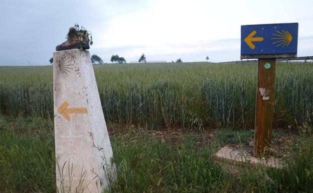 El Camino de Santiago en Castilla y León en 16 días