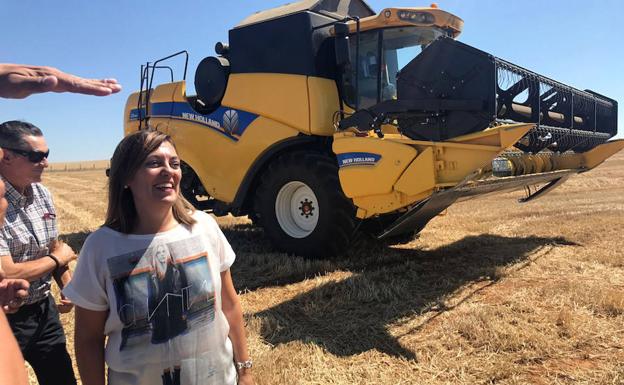 Malos tiempos para el cereal en Castilla y León: baja la producción y su precio