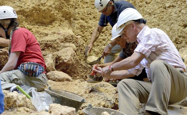 El hallazgo de restos neandertales completa la evolución humana en Atapuerca
