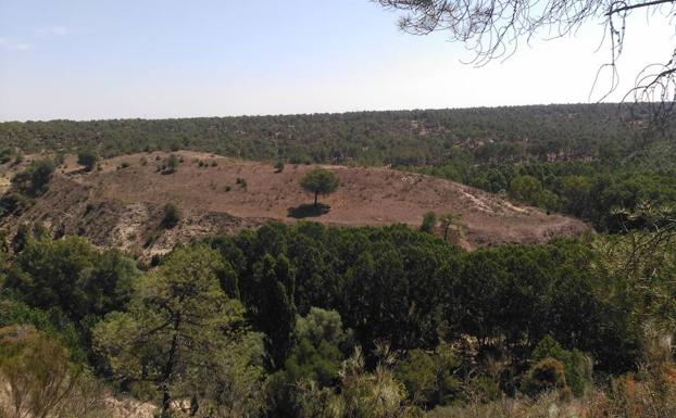 Navas de Oro retoma las excavaciones en el yacimiento de la Edad del Bronce