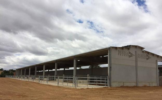 Dehesa Grande abrirá un nuevo centro de tipificación de vacuno de carne