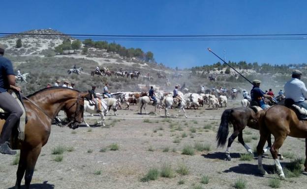 Portillo recupera la tradición con su II Feria de la Trashumancia