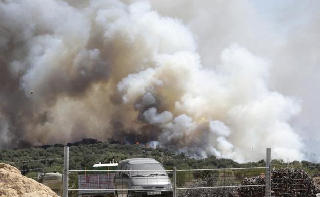 El incendio de Zamora se extiende 15 kilómetros