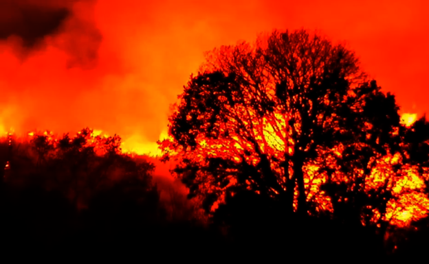 Estabilizado el incendio de la provincia de Zamora