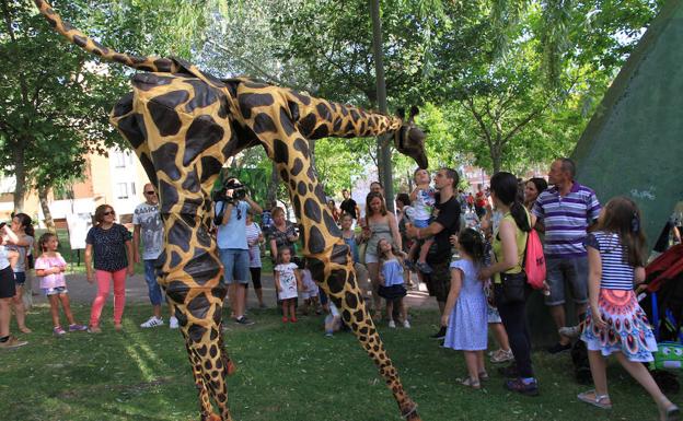 Las jirafas pasean por Nueva Segovia