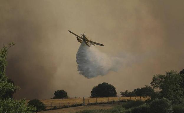 La superficie quemada en Zamora por el incendio supera las 3.000 hectáreas