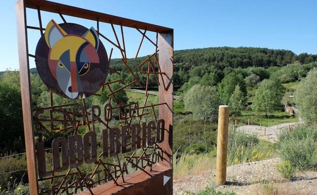 El Centro del Lobo aumenta su número de visitantes