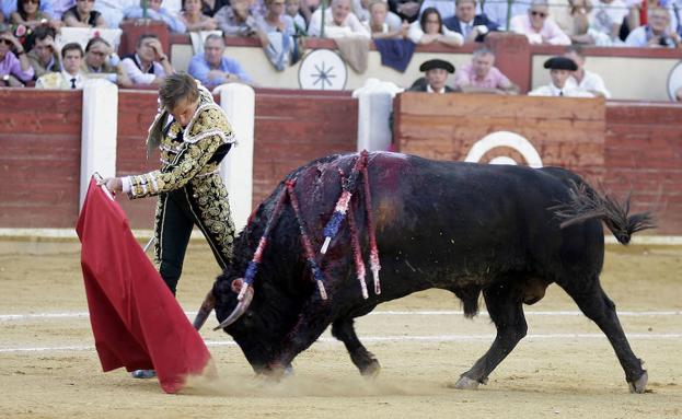 Manolo Sánchez regresa a los ruedos en Valladolid en un mano a mano con Ponce