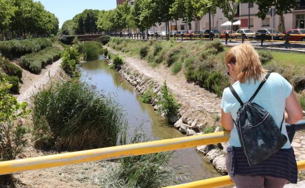 Limpieza a fondo del cauce de la Esgueva
