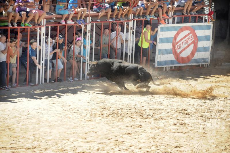 Encierro del sábado en La Seca