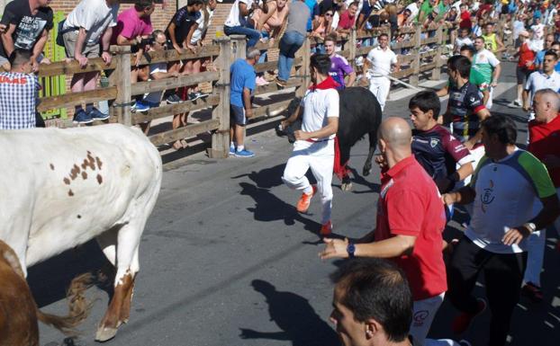 Calor, toros y música protagonistas del segundo día festivo en Íscar