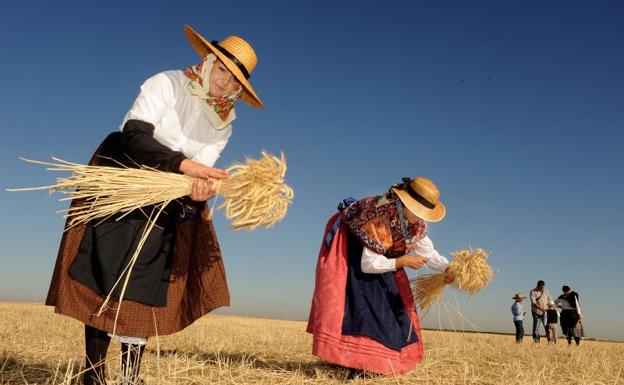 Vuelta a los orígenes en la Fiesta de la Siega de Nava del Rey