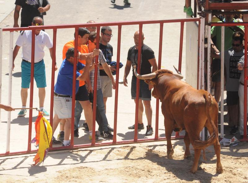 Encierro del domingo en La Seca