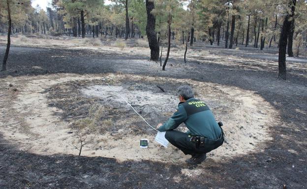 ¿Cuánto vale la madera quemada en el incendio de Nieva?