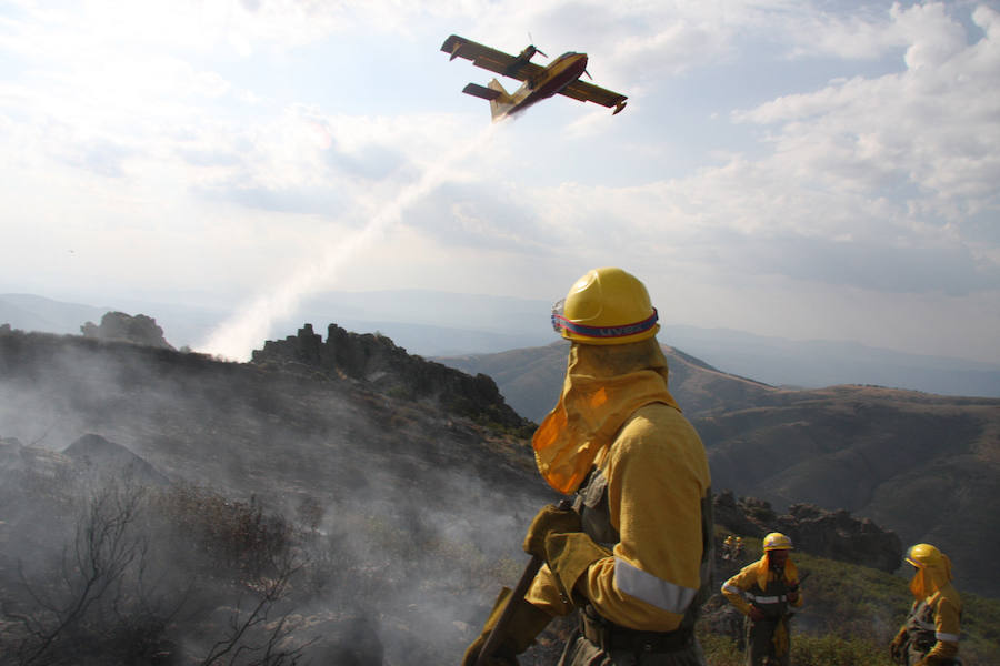 Incendio forestal en Navarredonda alcanza el nivel 2