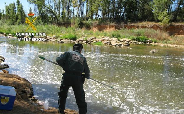 Tres investigados por la muerte de 570 peces en el río Tuerto