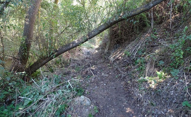 La Asociación ‘La Alhóndiga’ abre un sendero por el Adaja