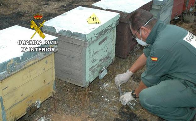 Investigan a dos personas por los incendios forestales de Otero de Bodas y Santibáñez