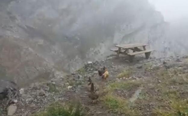 Nieva en agosto en León