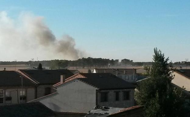 La caída de un pino sobre la línea eléctrica provoca un incendio
