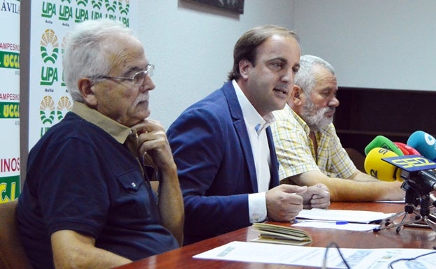 Unión de las principales fuerzas agrarias de Ávila por ayudas directas y seguros atractivos