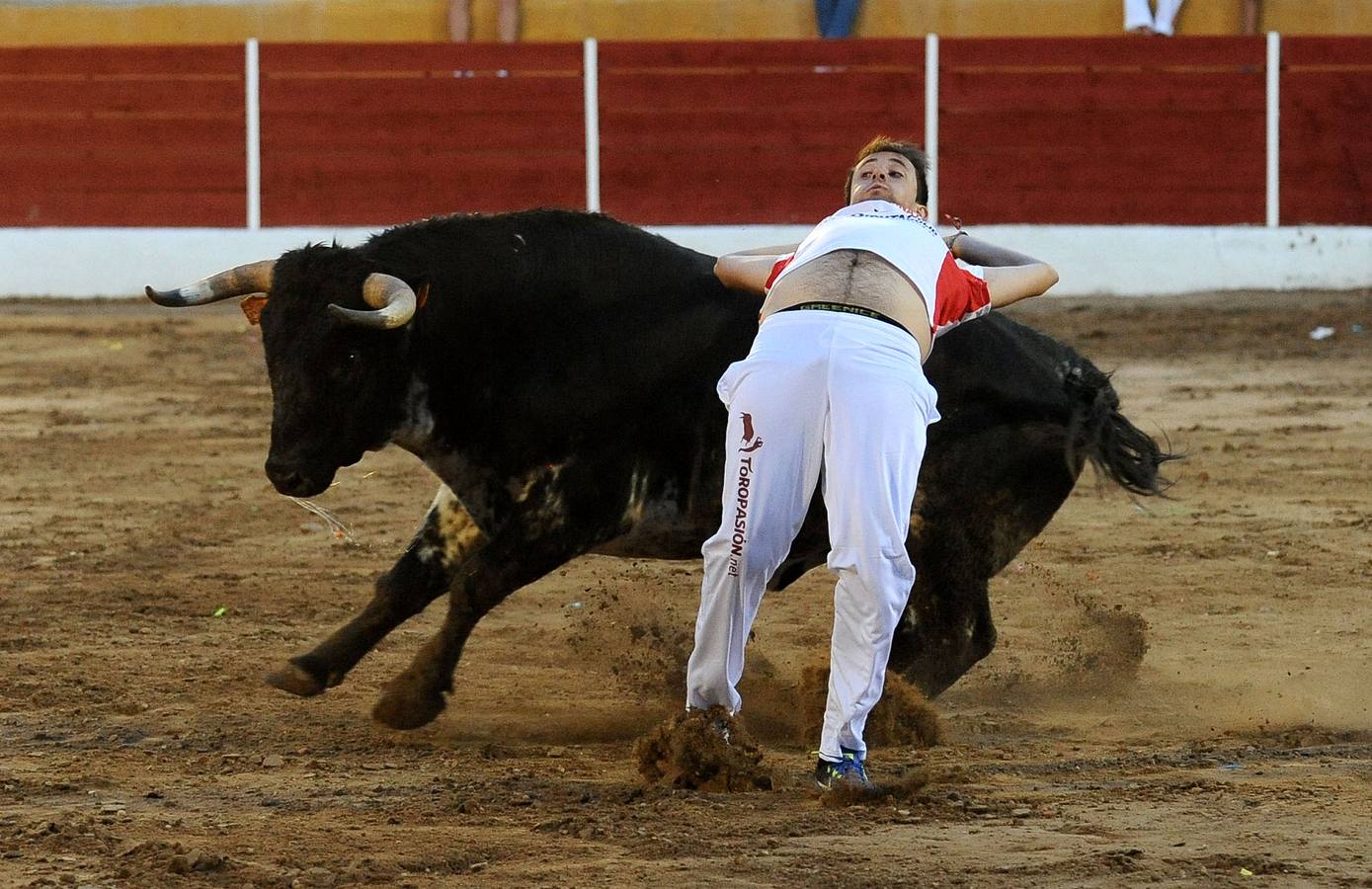 Concurso de cortes en Pollos (Valladolid)