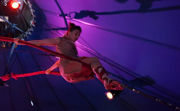 Cir&Co estrenará dos espectáculos mundiales y quince a nivel nacional