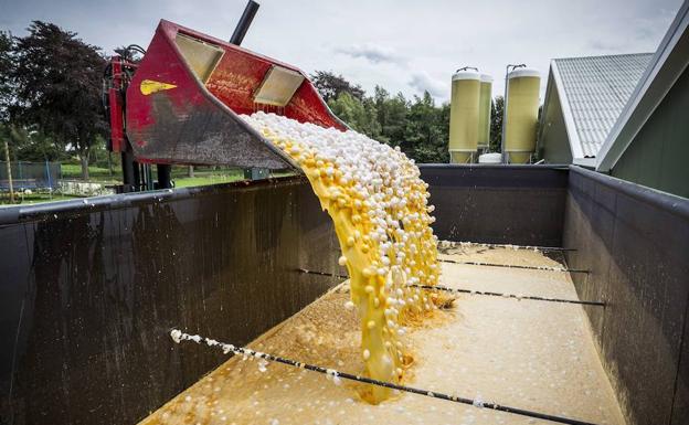 Retirada en Cataluña una partida de huevos contaminados