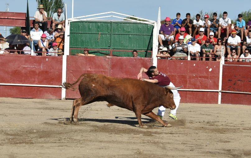 Concurso de Cortes en Aldeamayor de San Martín