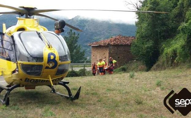 Javier Elorriera, exjugador de la Cultural Leonesa, herido grave en un accidente de bici