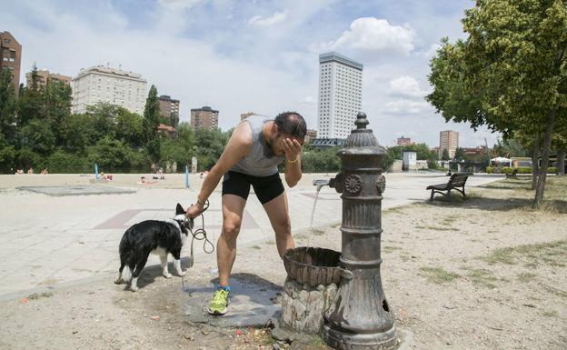 Valladolid llegará hoy a los 38 grados