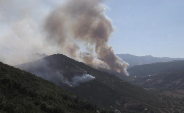 2017: El peor año del último lustro con 75.000 hectáreas quemadas