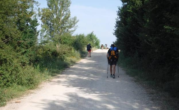 el Camino de Santiago en castilla y león en 16 Días