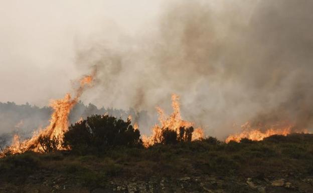 Estabilizado el fuego en la comarca leonesa de la Cabrera