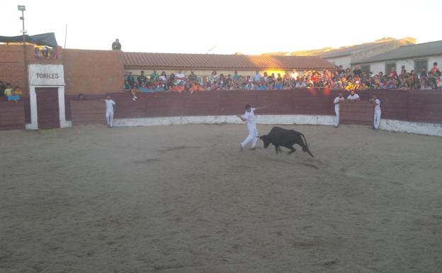 Un herido en el I Toro del Cajón de Torrelobatón
