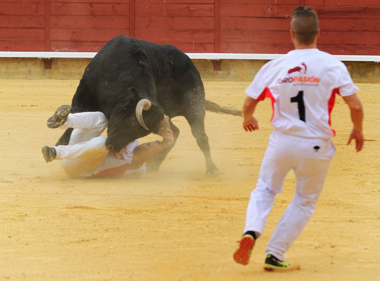 Campeonato Nacional de Recortadores de Palencia